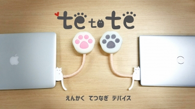 Remote hand-holding device: TeToTe